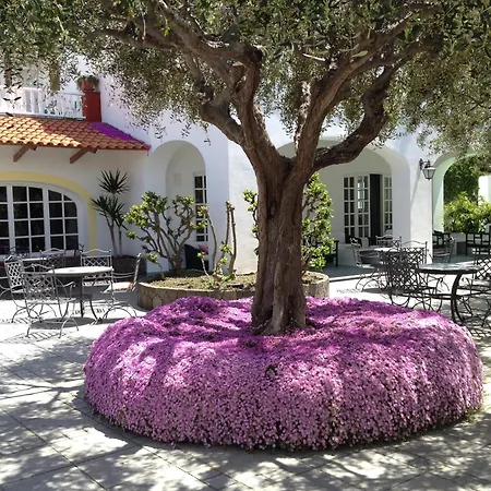 Hotel La Scogliera 4*